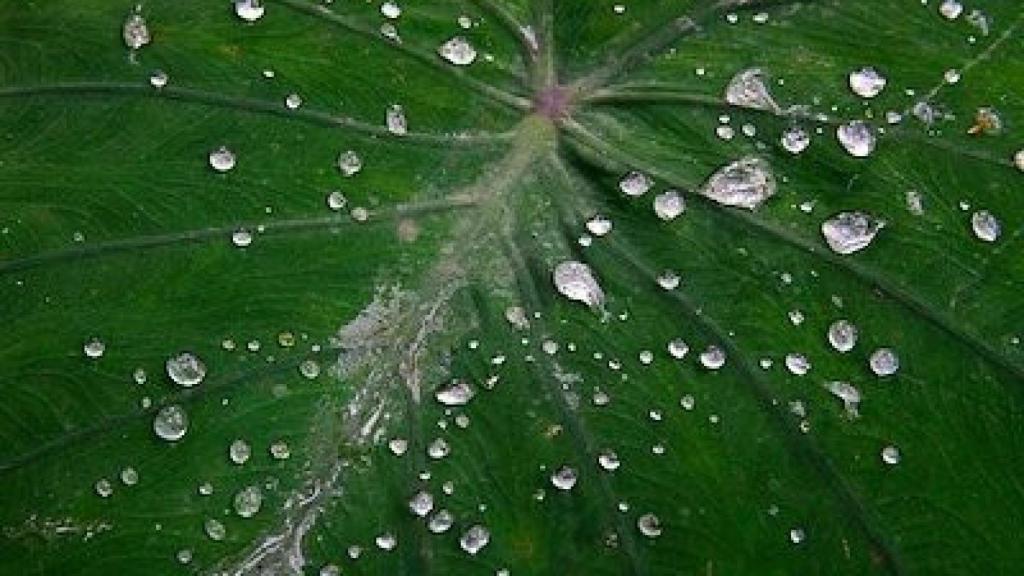 Condensación del agua