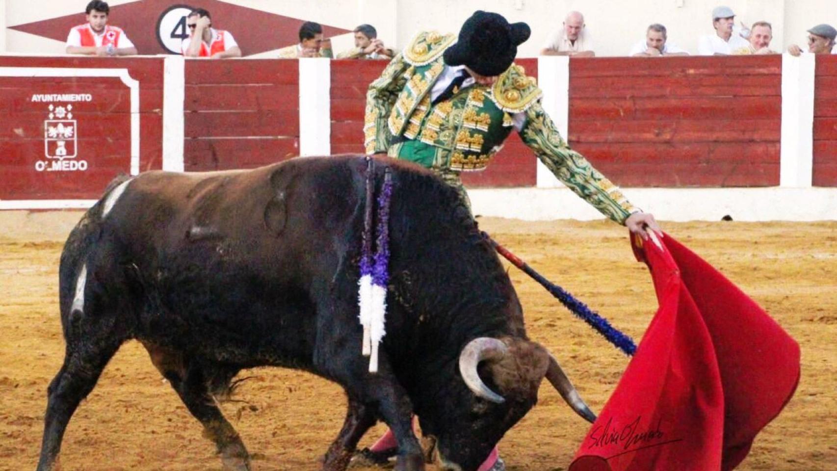 Novillada en Laguna de Duero