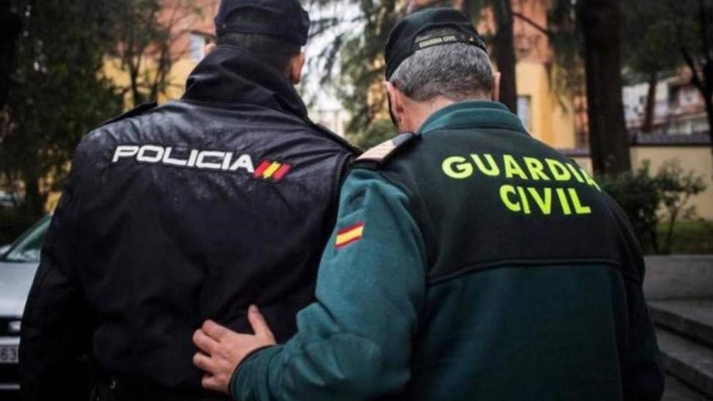 Trabajo en equipo de la Policía Nacional y la Guardia Civil