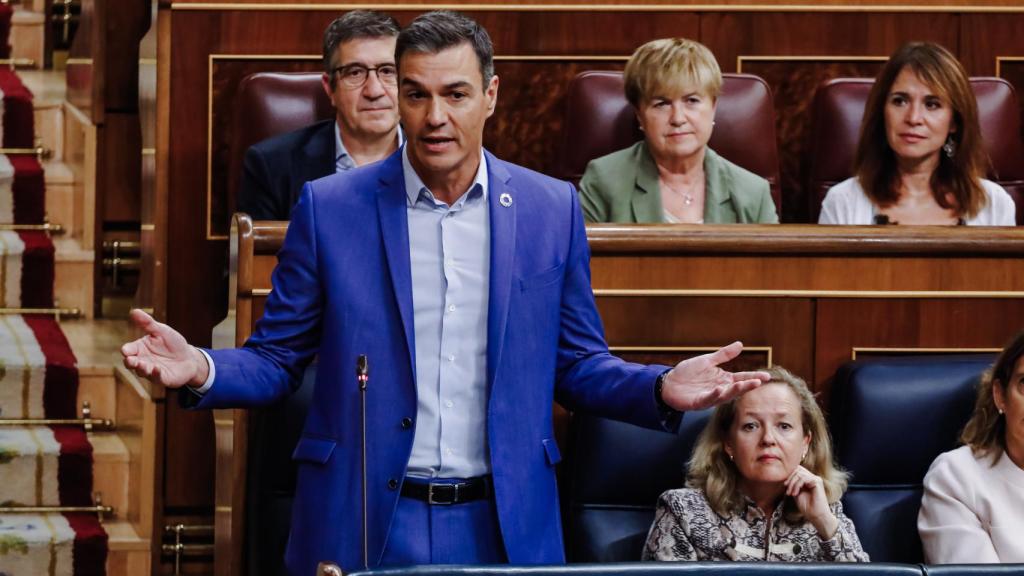 Pedro Sánchez en el Congreso de los Diputados.