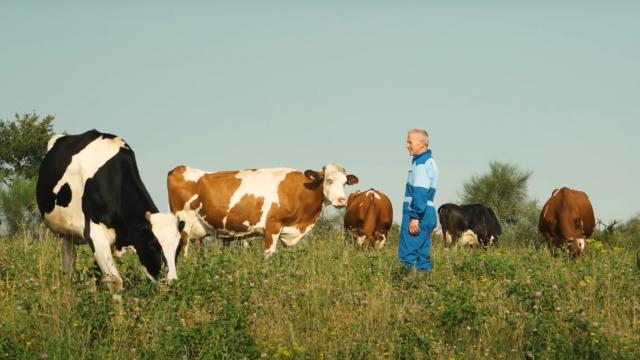 Innovación y sosteniblidad en el sector de la leche: avances y retos de Puleva