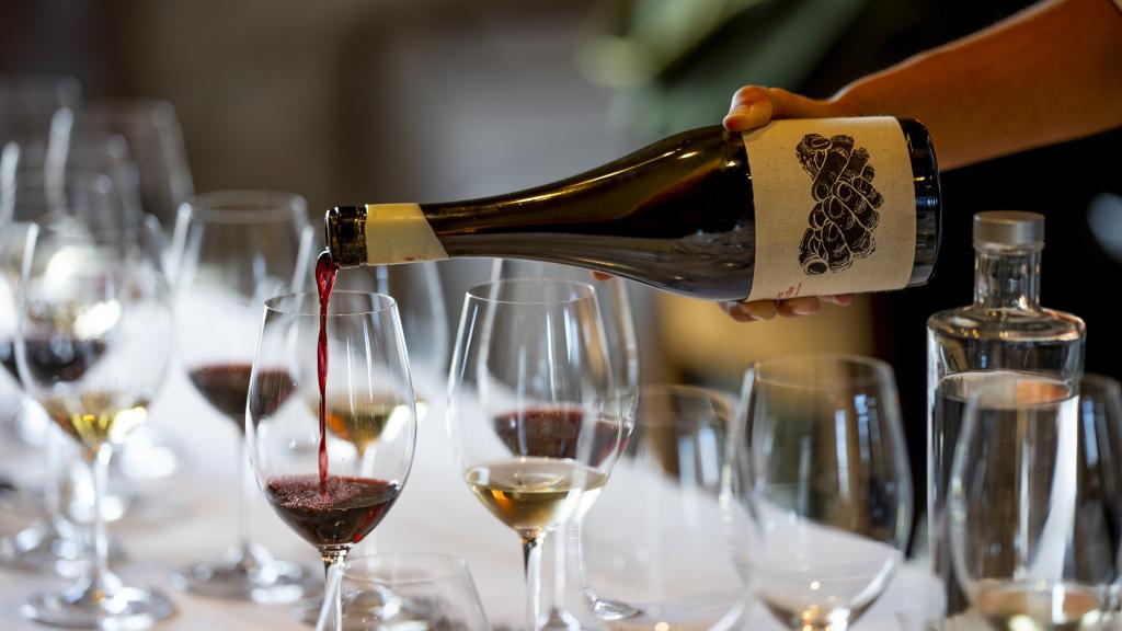 Cata de vinos biodinámicos