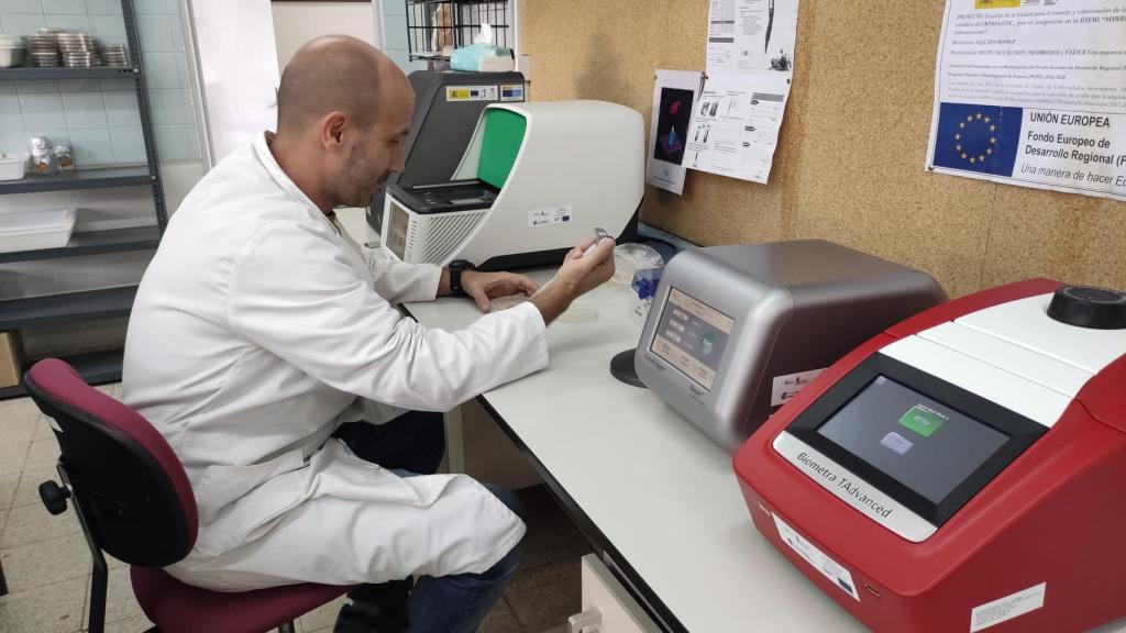 Un investigado del IRNASA-CSIC