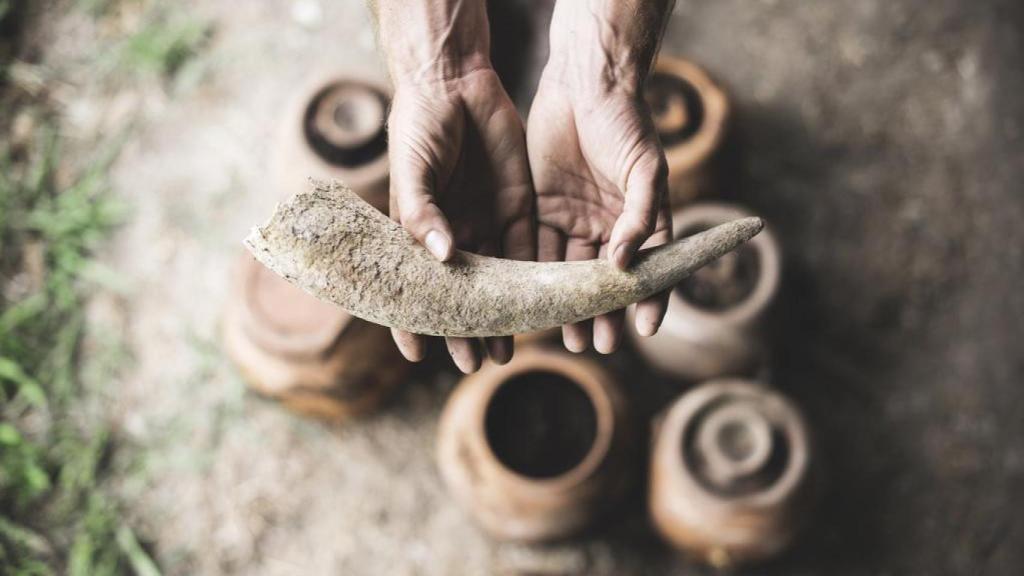 Hasta lo ecológico y más allá