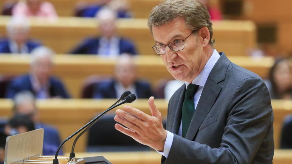 El líder del PP, Alberto Núñez Feijóo, comparece en el pleno del Senado este martes.