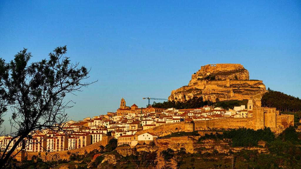 Morella