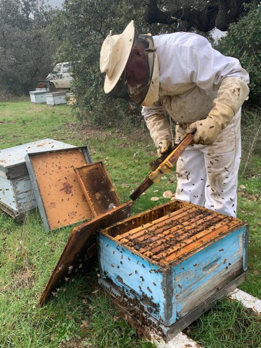 Amable, padre de María