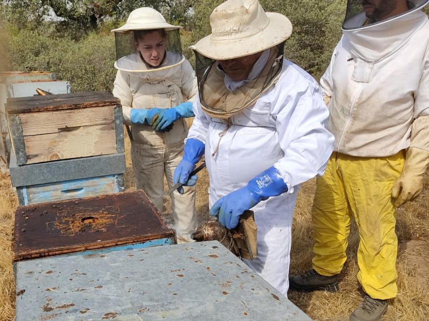 Padre e hija junto a sus colmenas
