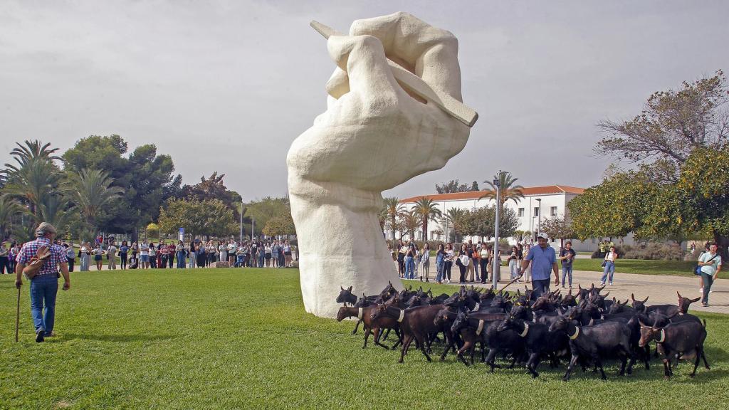 Los animales pasean por la universidad.