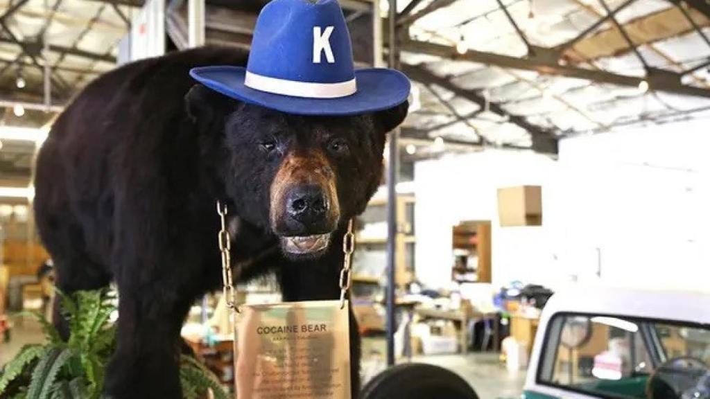 Imagen del oso de cocaína en el Kentuky Fun Mall