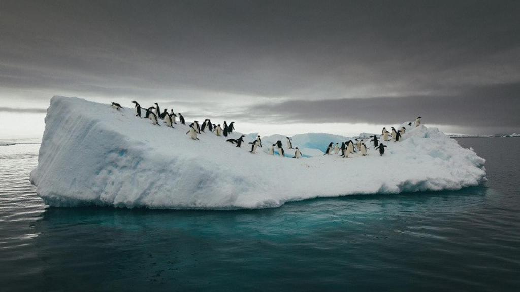 Imagen de la exposición 'Cambio Climático. Cómo evitar un colapso global', organizada por Lunwerg editores y Fundación Axa que se puede ver en Barcelona hasta el 31 de diciembre