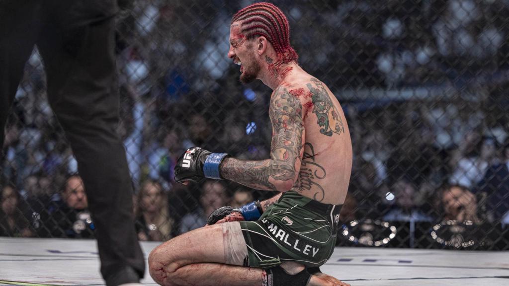 El luchador Sean O'Malley, tras su victoria en el UFC 280