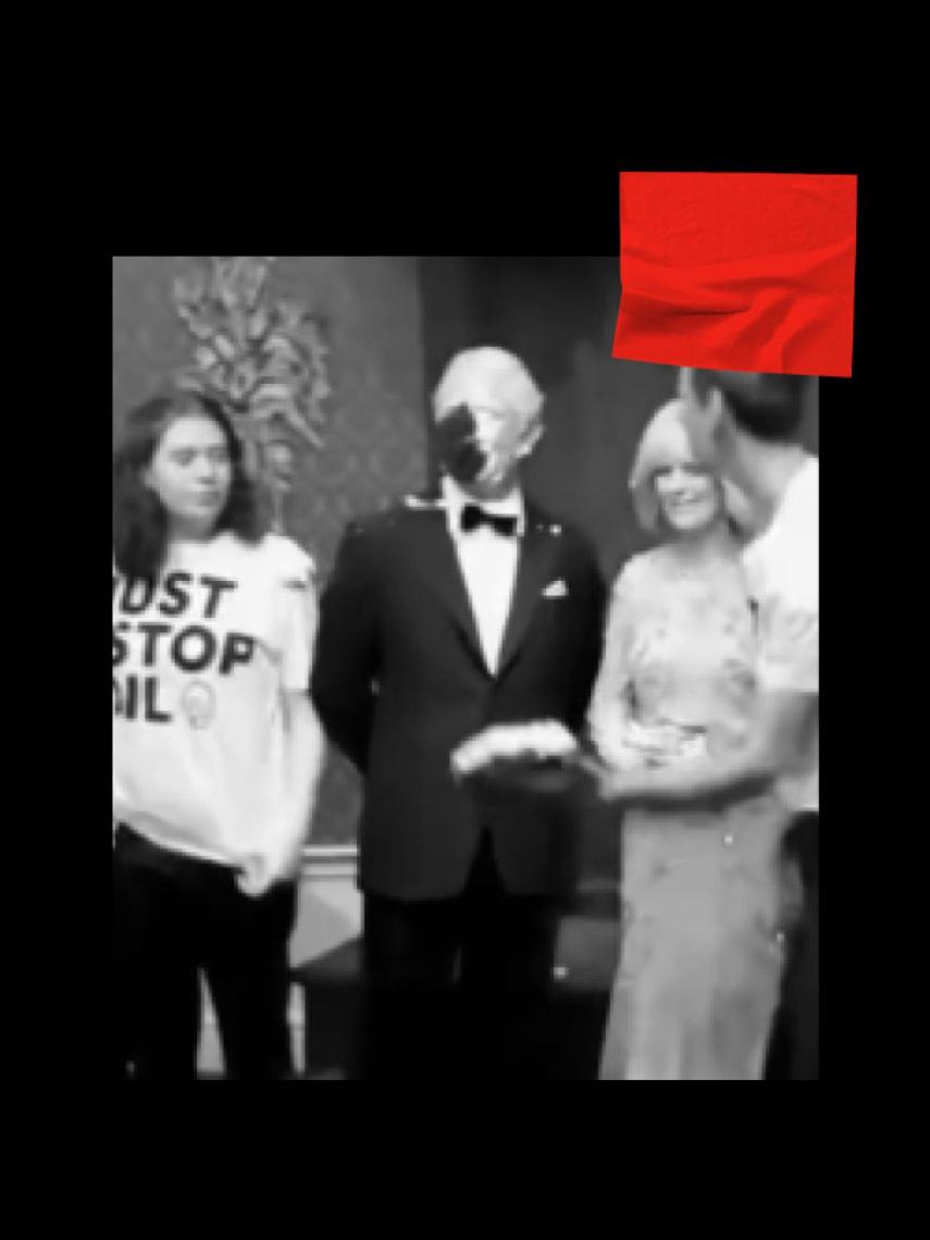 Activistas ecologistas.