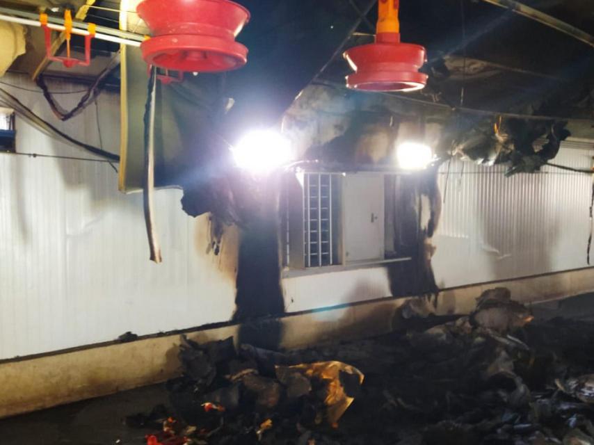 Incendio en un gallinero de San Vicente del Palacio