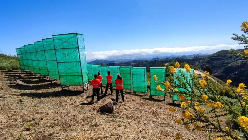 Colectores instalados en Gran Canaria.