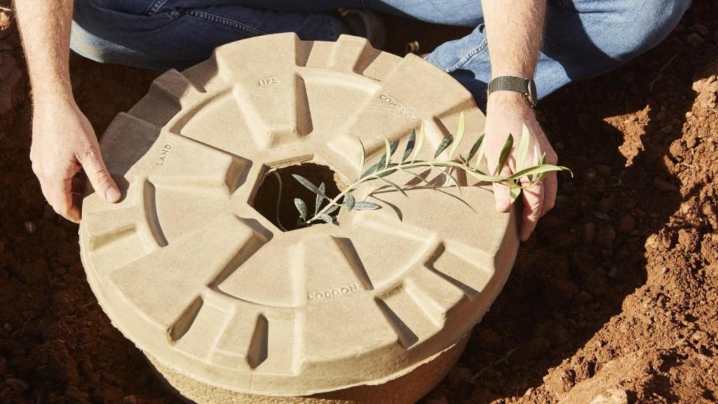 Cocoon recién instalado.