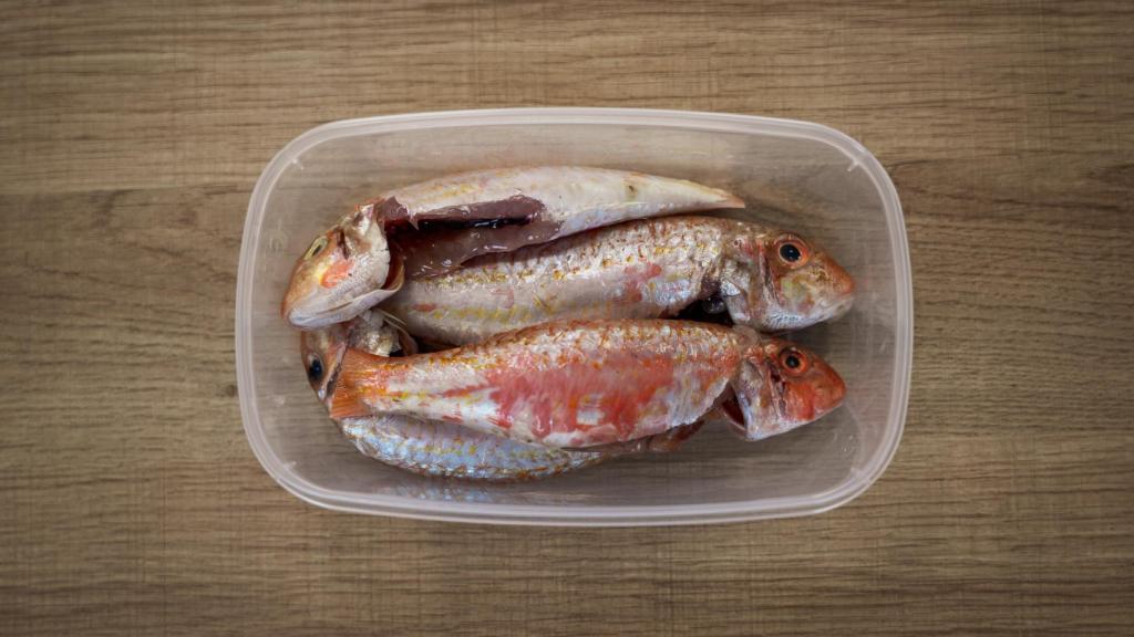 Los cuatro salmonetes que nos han echado en el táper.
