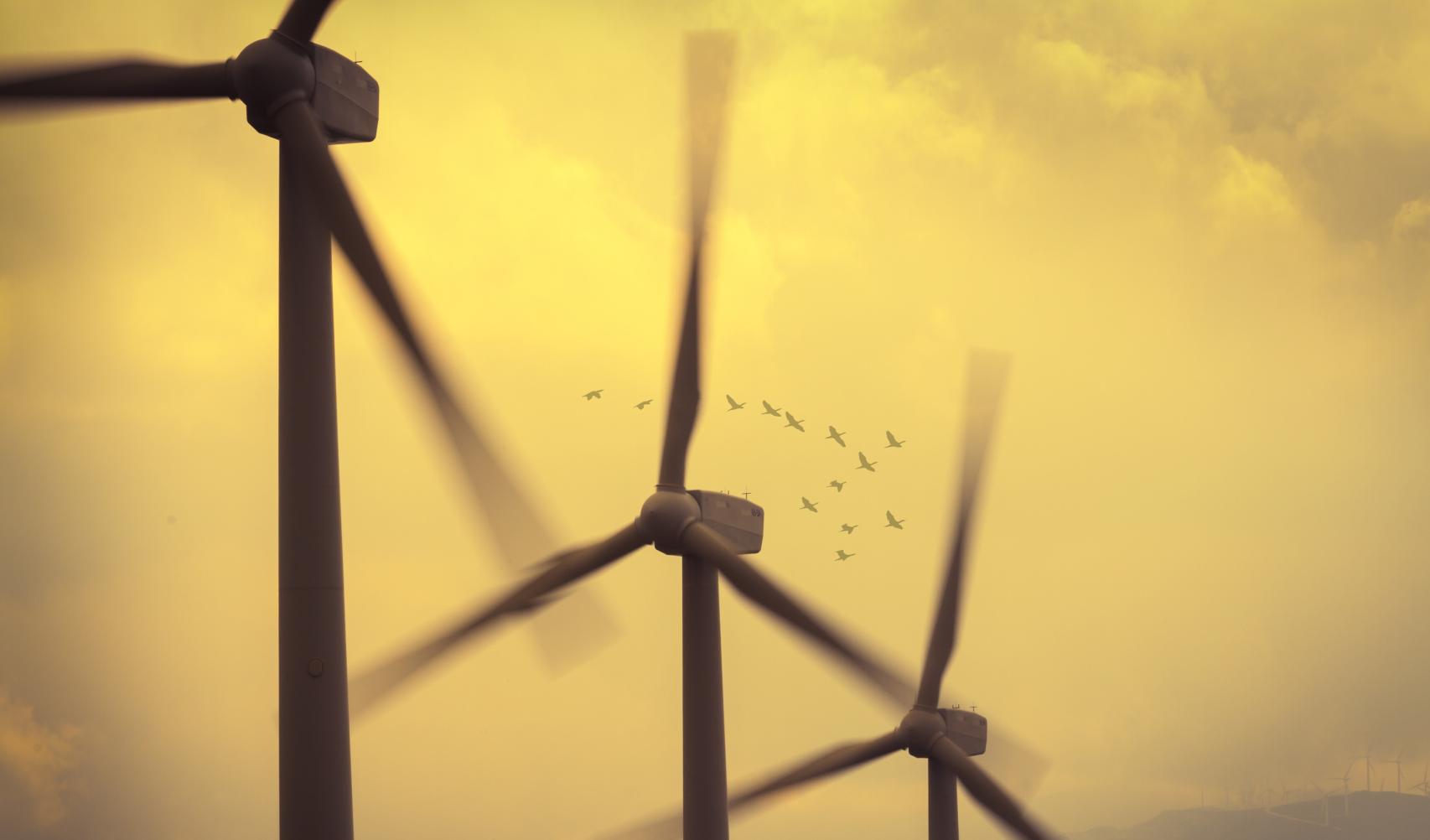 Imagen de tres aerogeneradores.