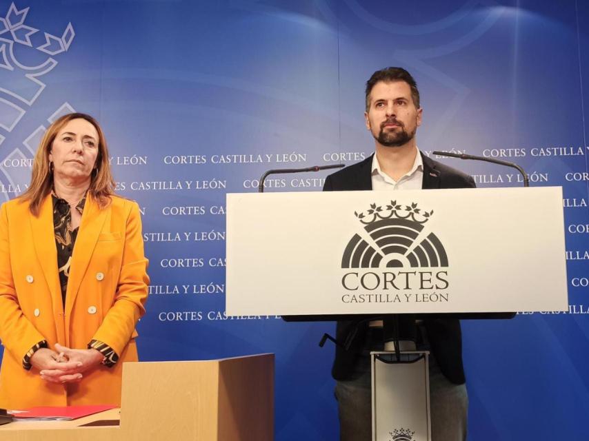 El portavoz socialista, Luis Tudanca, durante su rueda de prensa de este viernes en las Cortes.