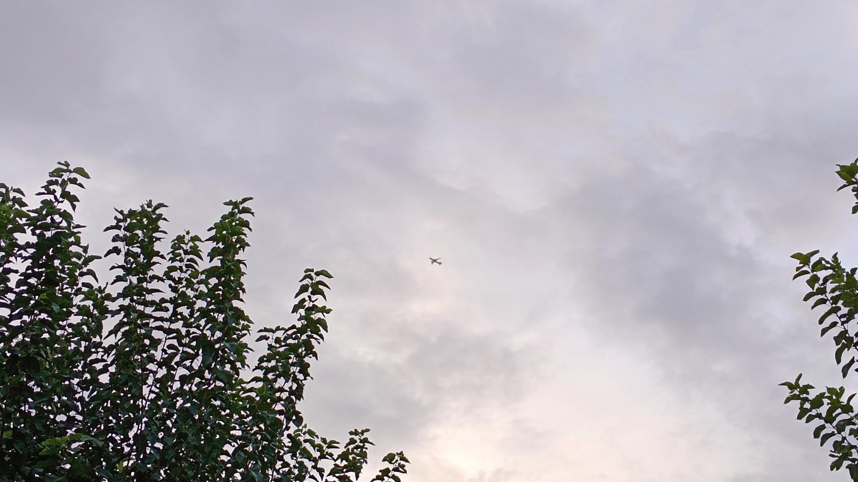 Imágenes tomadas con el Vivo X80 Lite