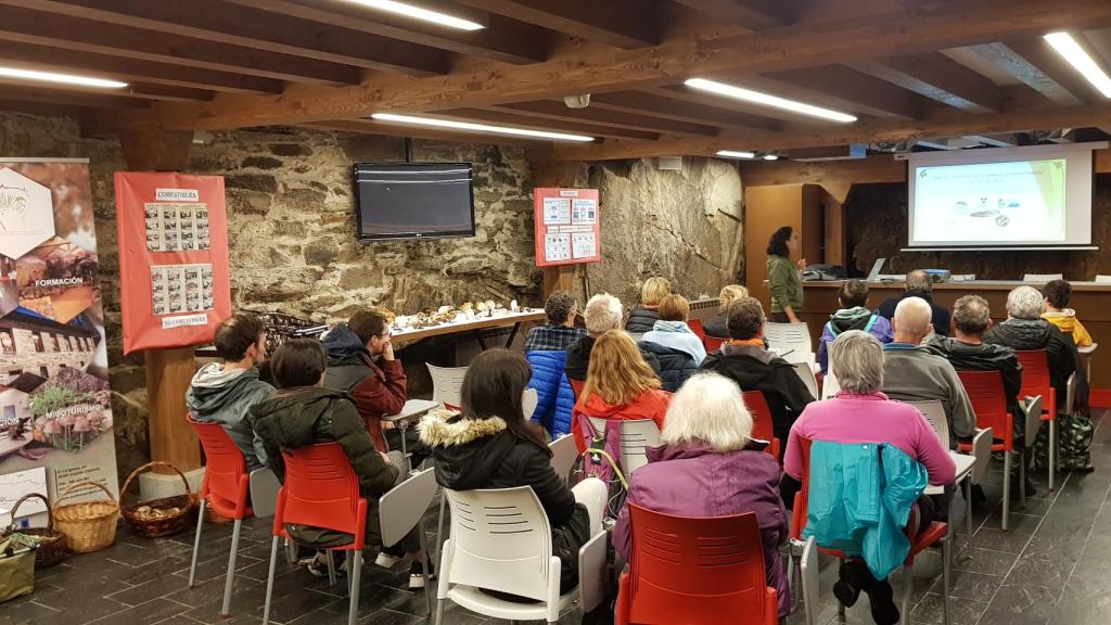 Actividad organizada por el Ayuntamiento de Puebla de Sanabria