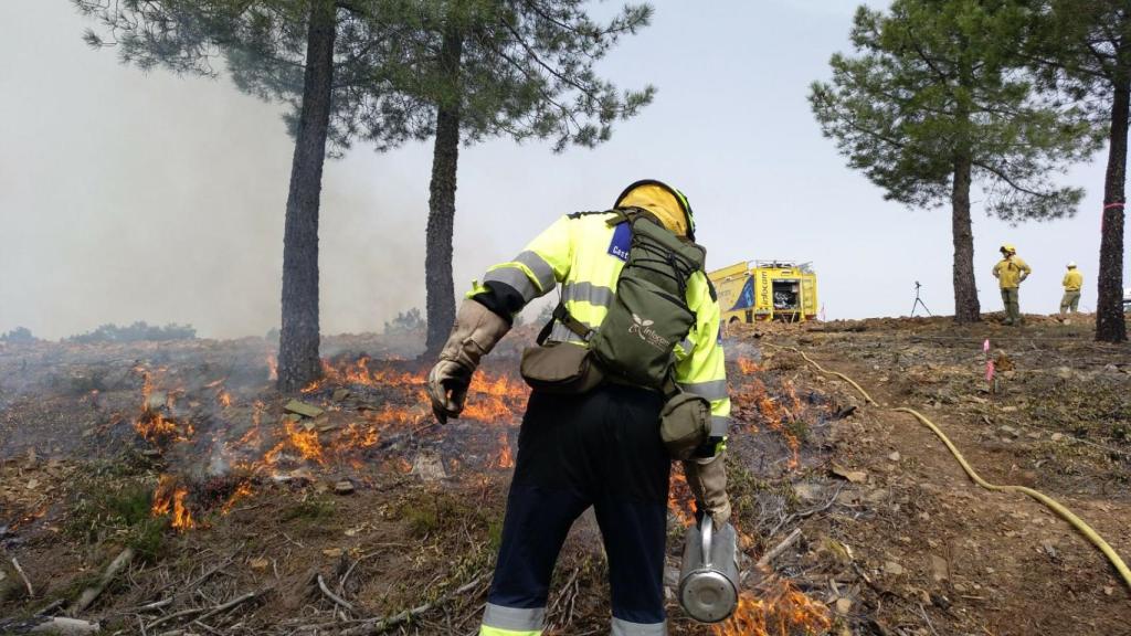 Bomberos forestales. Imagen de archivo