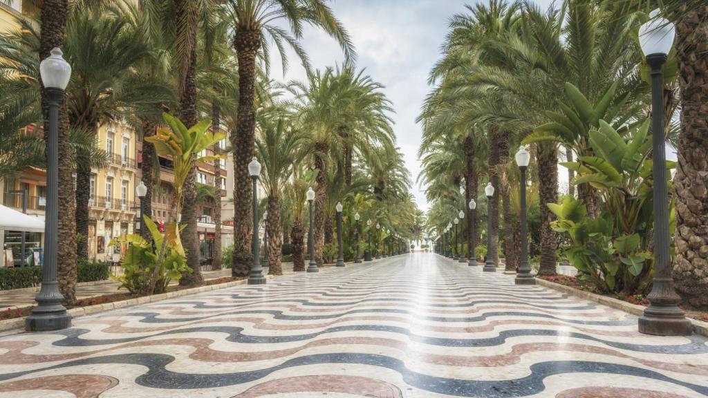 Imagen de archivo de la Explanada de España en Alicante.