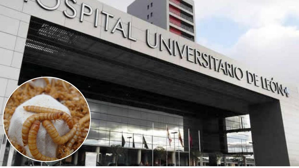 Hospital de León