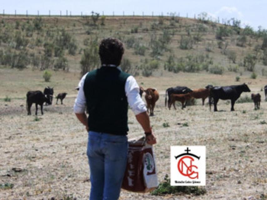 Raúl Nieto en plena tarea de ganadero