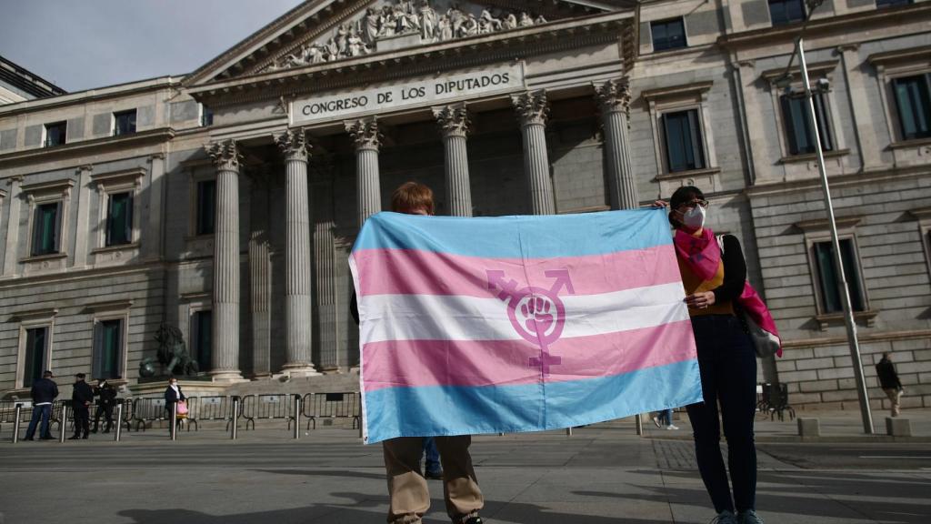 Protesta de los colectivos trans frente al Congreso de los Diputados.
