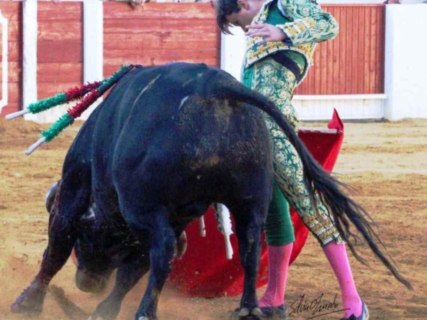 Daniel Medina “rebozándose” con uno de los utreros de Toros de Brazuelas