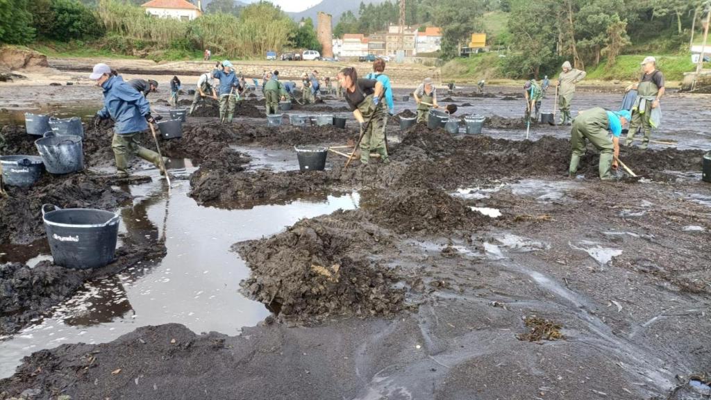 Mariscadores retirando la capa de sedimentos en la playa de Os Raposiños