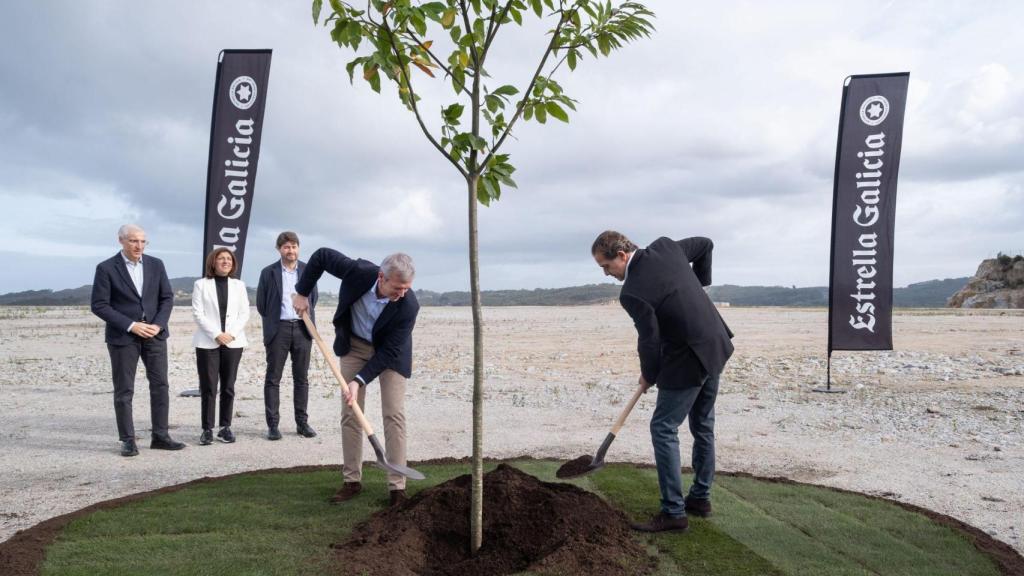 Plantación de árbol en el polígono de Morás, en Arteixo (A Coruña)