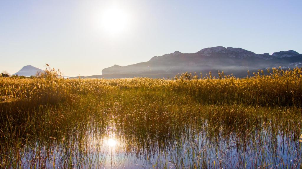 Imagen de archivo del Marjal de Pego Oliva.