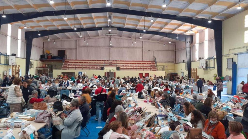 palilleiras-vimianzo-1