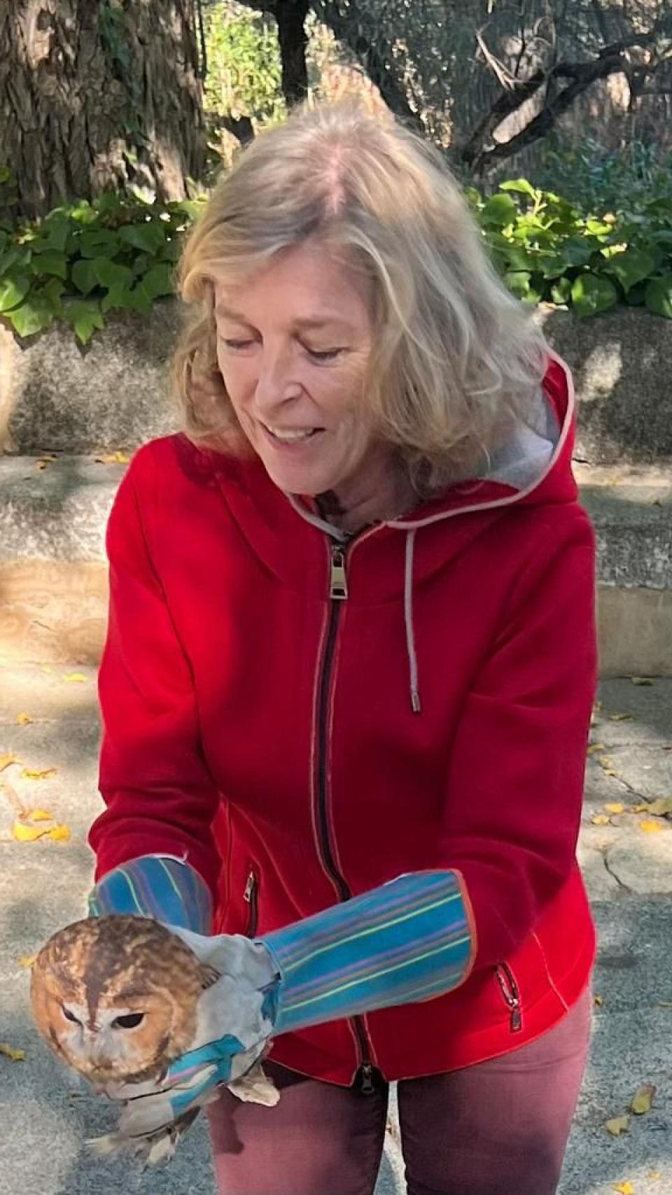 Rescate de los cárabos en el cigarral de Marañón