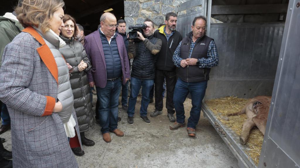 La secretaria general del Partido Popular, Cuca Gamarra, presenta la estrategia nacional para garantizar la supervivencia de la ganadería extensiva