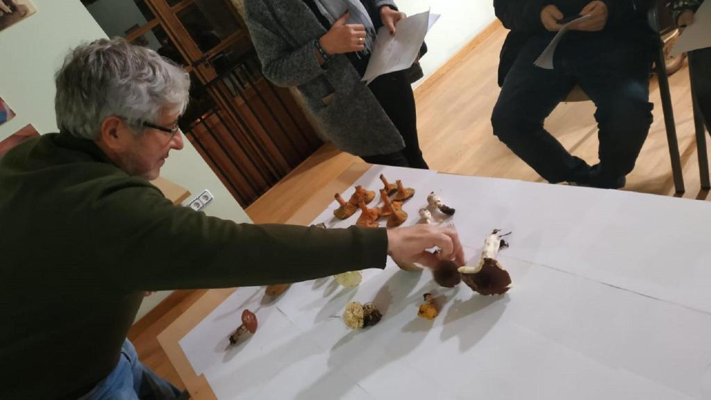 Una jornada de micología en una foto de archivo.