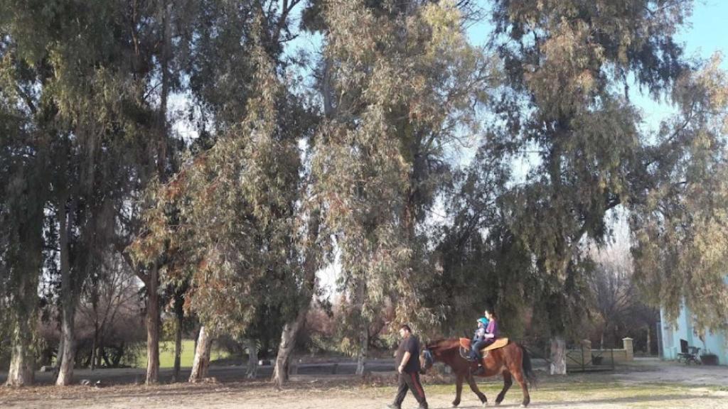 Un paseo con caballo en el centro de educación especial de Castro del Río donde ha ocurrido el accidente mortal.