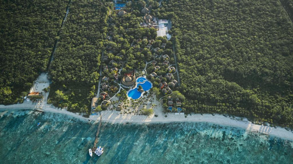 Iberostar se adelanta a la industria 20 años en la neutralidad en emisiones de carbono