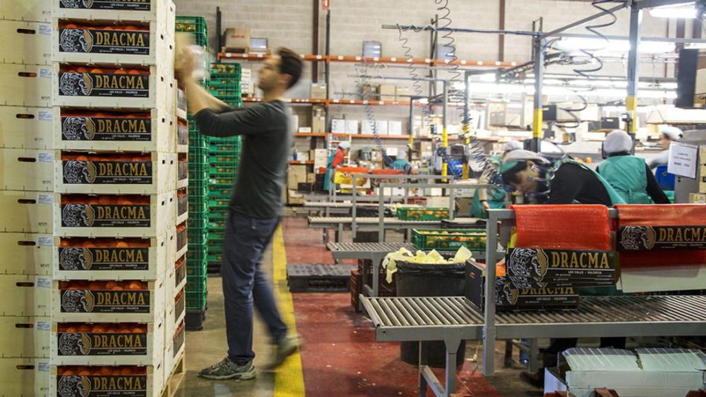 Imagen de la empresa Dracma.