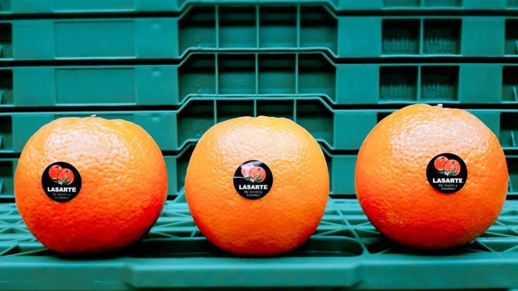 Naranjas de Lasarte.