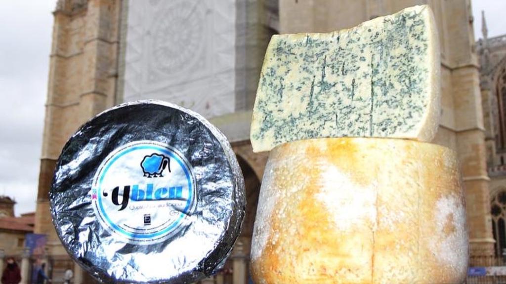 Queso de Los Payuelos