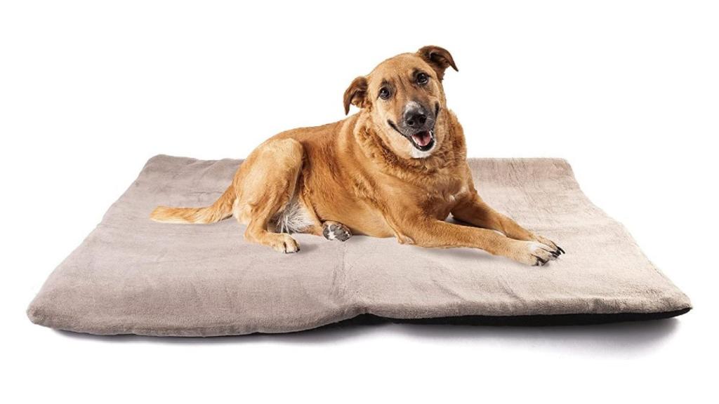 a los perros les gusta estar envueltos en mantas