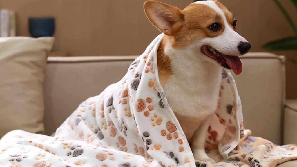 a los perros les gusta estar envueltos en mantas