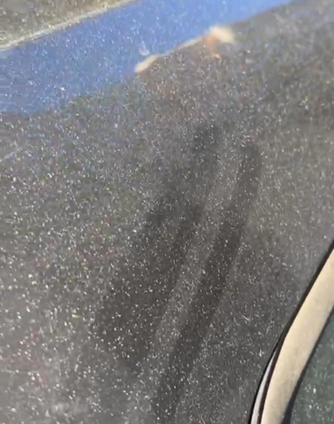 Detalle de uno de los vehículos que se encontraba estacionado en la plaza esta mañana