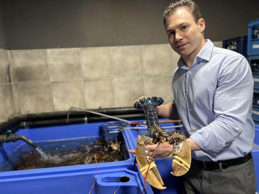 El marisco fresco de La Chalana