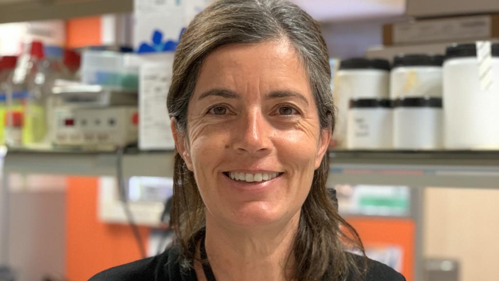 Maria Rosa Sarrias, del Instituto de Investigación Germans Trias i Pujol (IGTP). Investigadora principal del proyecto 'Un anticuerpo monoclonal para el tratamiento contra el cáncer'