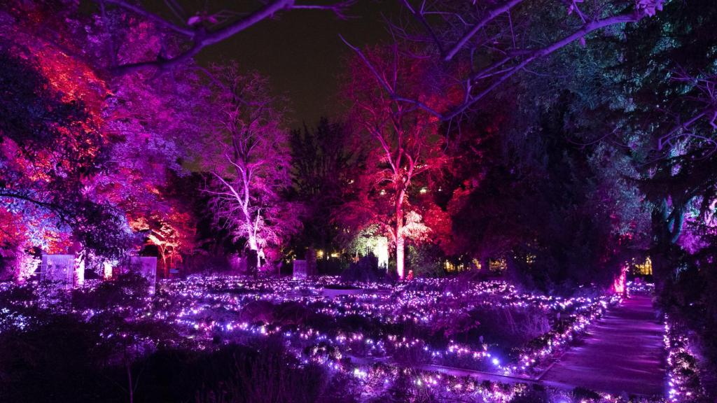 NATURALEZA ENCENDIDA