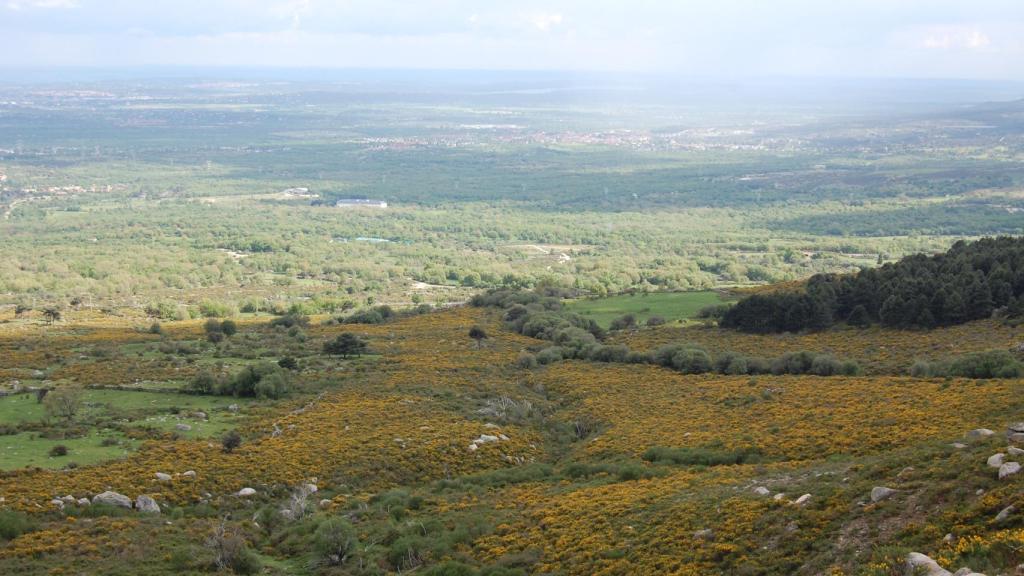 Vistas de Los Molinos
